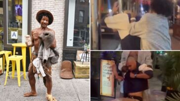 notorious-greenwich-village-homeless-man-tiger-knocks-man-out,-bizarrely-helps-him-up:-video