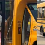bus-driver-who-wore-pink-schoolgirl-outfit-and-named-his-route-the-‘lolita-line’-files-human-rights-complaint-after-being-confronted-by-parents-and-fired-(video)