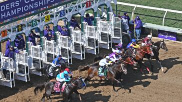 where-to-bet-on-the-breeders’-cup,-best-online-racebooks-and-betting-apps