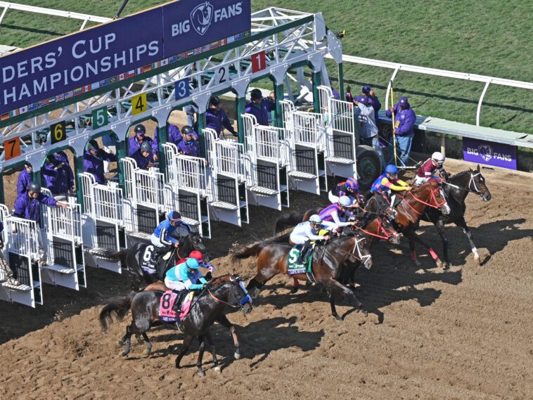 where-to-bet-on-the-breeders’-cup,-best-online-racebooks-and-betting-apps