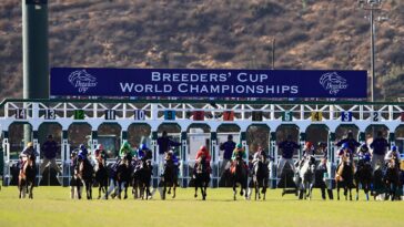 can-you-bet-on-the-breeders’-cup-with-fanduel-and-betmgm?